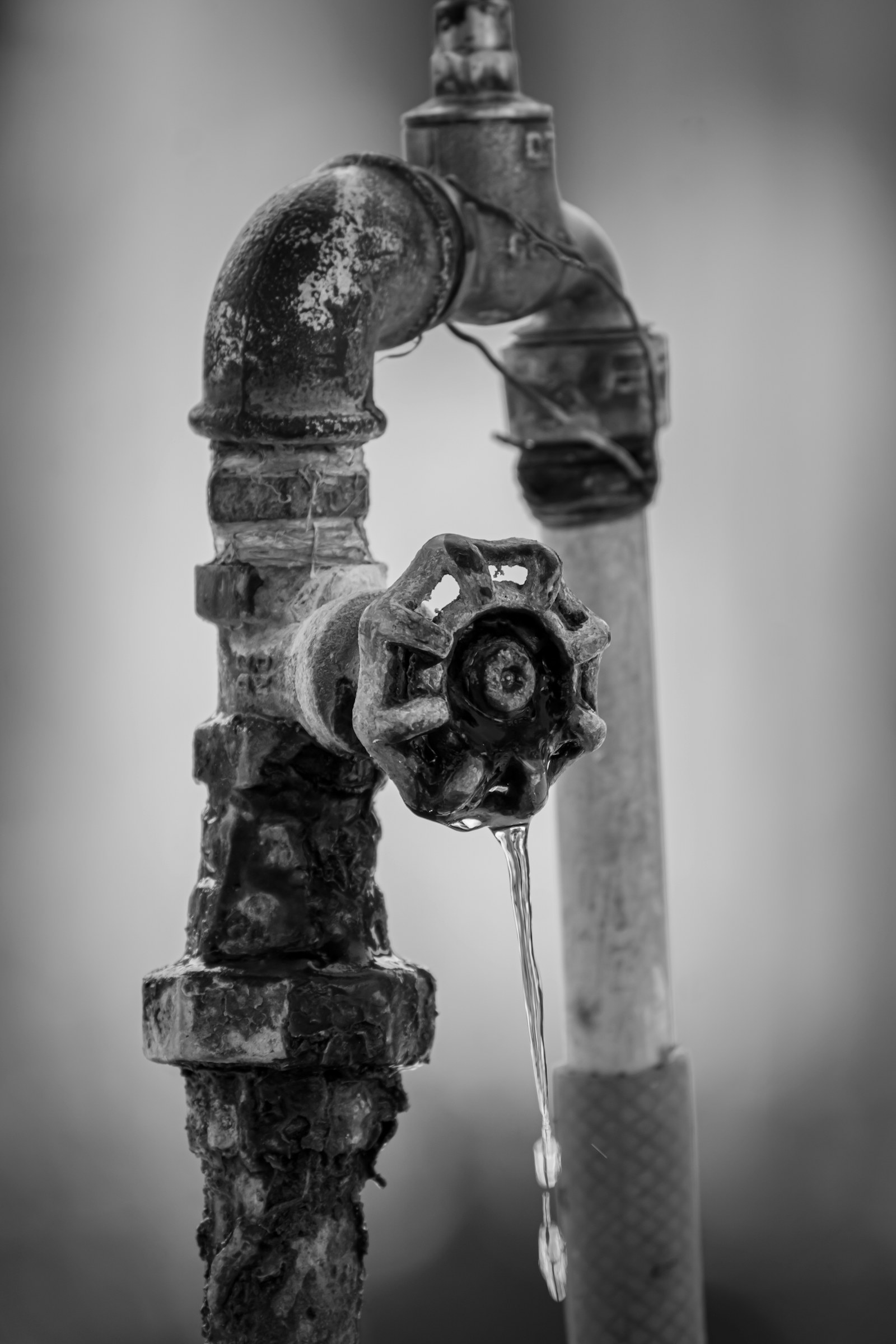 A close view of a small stream from a household water valve